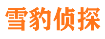 吴中市调查公司